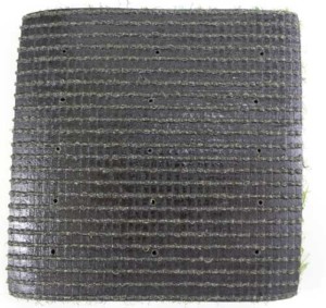 gazon+synthétique+animaux