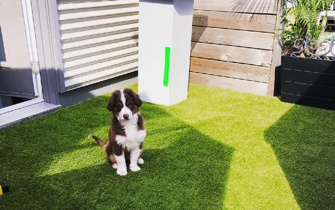 USA high quality artificial grass for dogs pet friendly