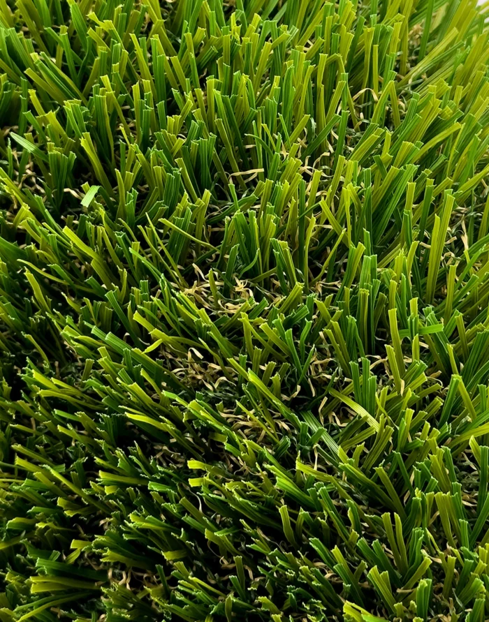 Perfect lawn - 2025 view 2