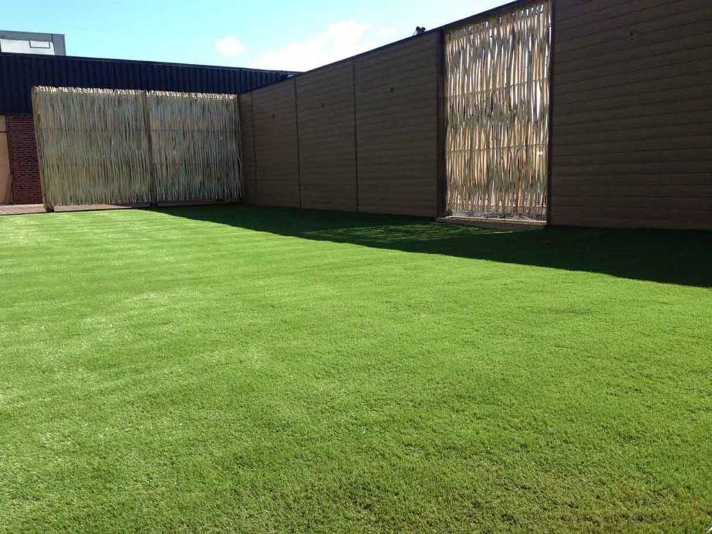 artificial+grass+outdoor+gym