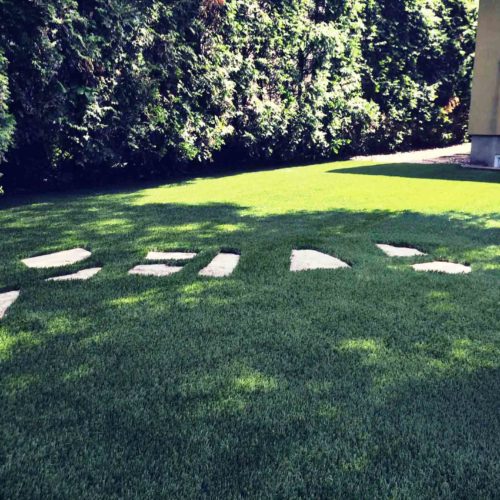 landscaping-backyard-sgc