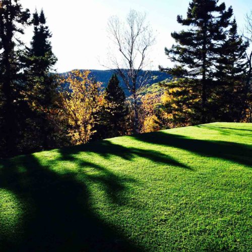 penthouse+montreal+gazon+synthétique