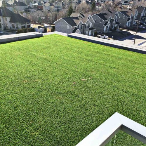 penthouse-synthetic-grass