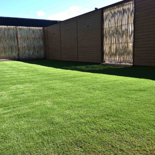 terace-turf