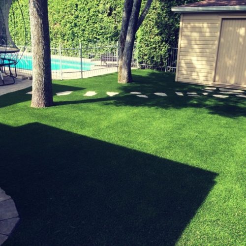 turf-landscaping-backyard