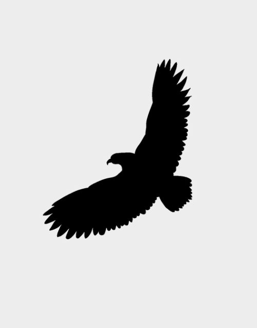 Bird decal composite fencing