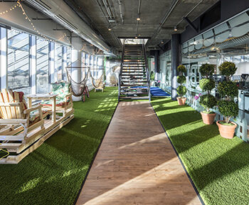 Colour Grass - Artificial Grass Rentals - Office Design - Events | SGC