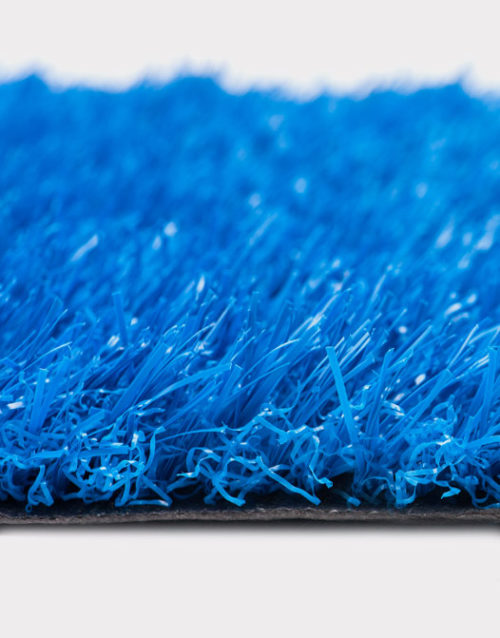 blue-turf-garden-school-elementary-school-event