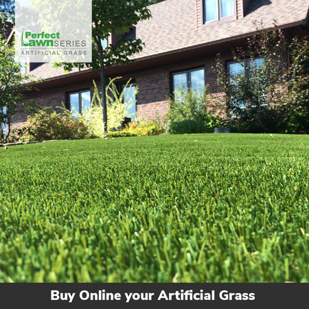 Buy+Online+Artificial+Grass