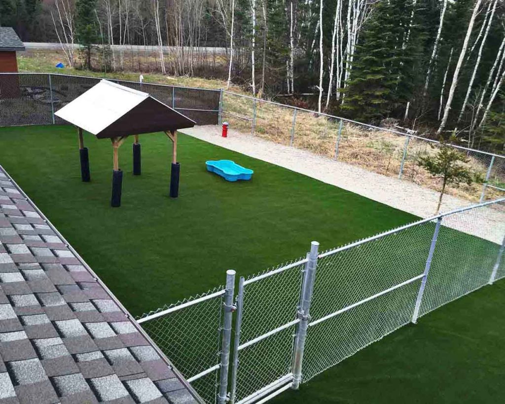 dog run pet turf area synthetic grass
