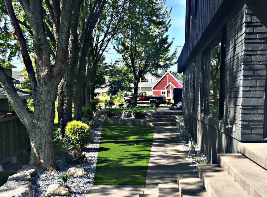 landscaping backyard turf