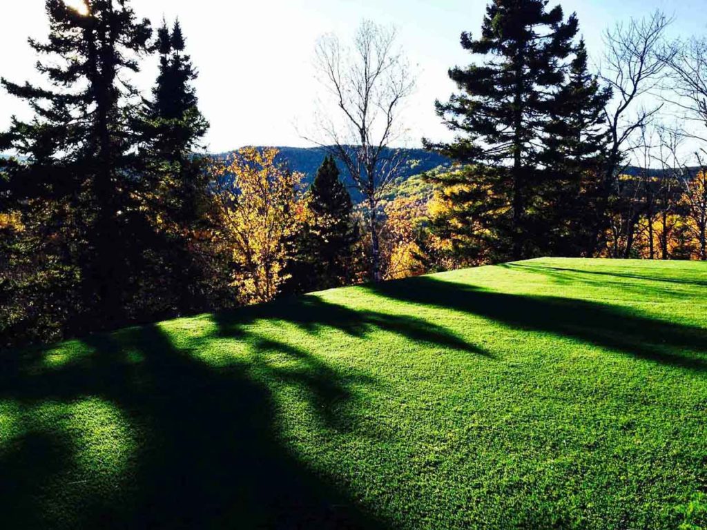 penthouse artificial grass residential