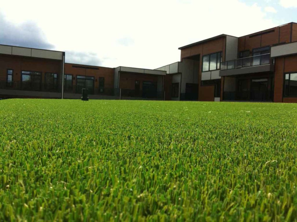 penthouse artificial turf