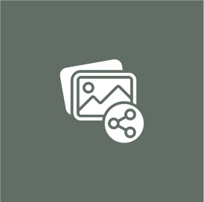 share your project-02