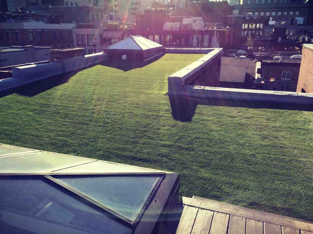 synthetic grass penthouse canada montreal