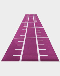 pink-sled-turf-weight-lifting-Bodybuilding-gym-workout-grass-new-york-seattle-philadelphia-chicago-washington