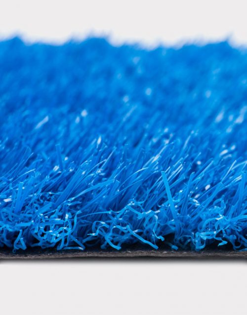 blue-turf-garden-school-elementary-school-event