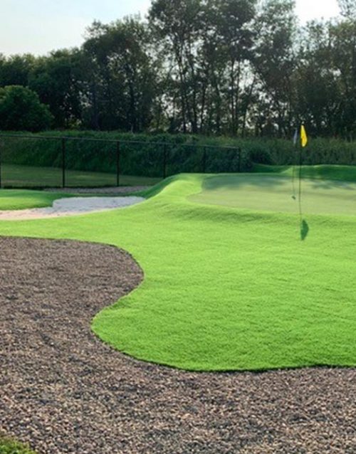 poly-green-grass-colored-color-turf-short-fiber-gym-event-office7