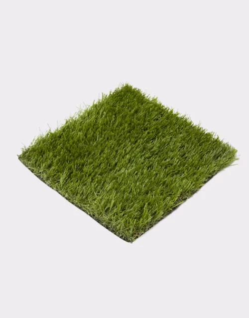 Lawn Mini grass